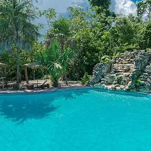 Jolie Jungle Eco Hotel